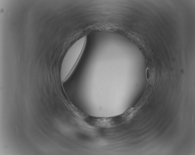 X0000081440335200701120951