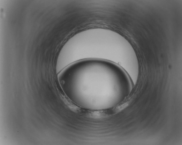 X0000081440382200701120951