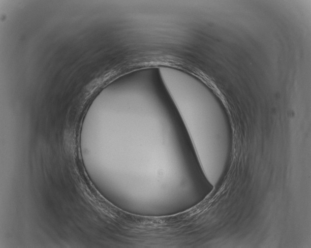 X0000081440386200701120950