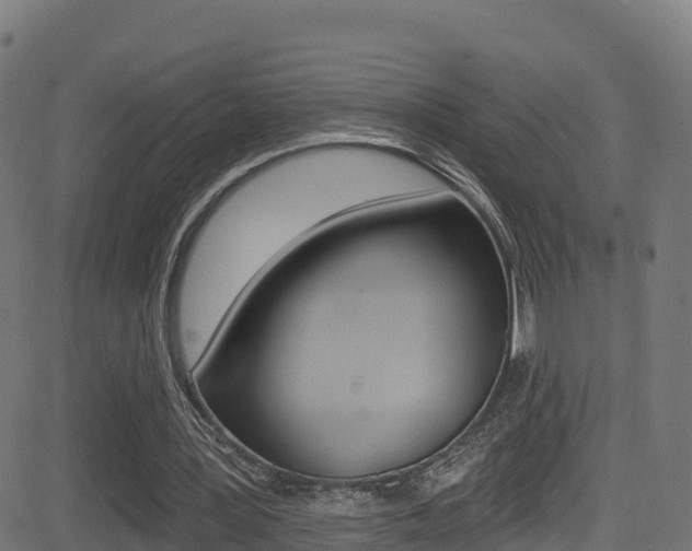 X0000081440387200701120950