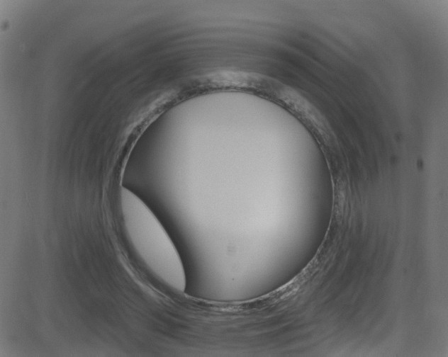 X0000081440398200701120950