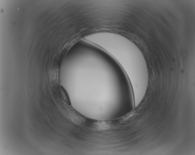 X0000081440425200701120949