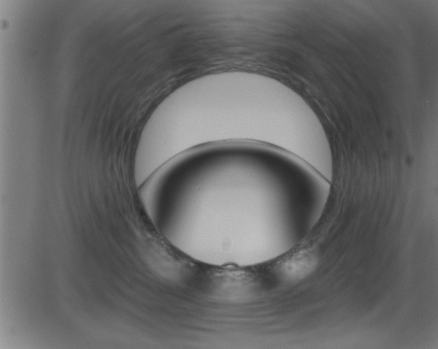 X0000081440428200701120949