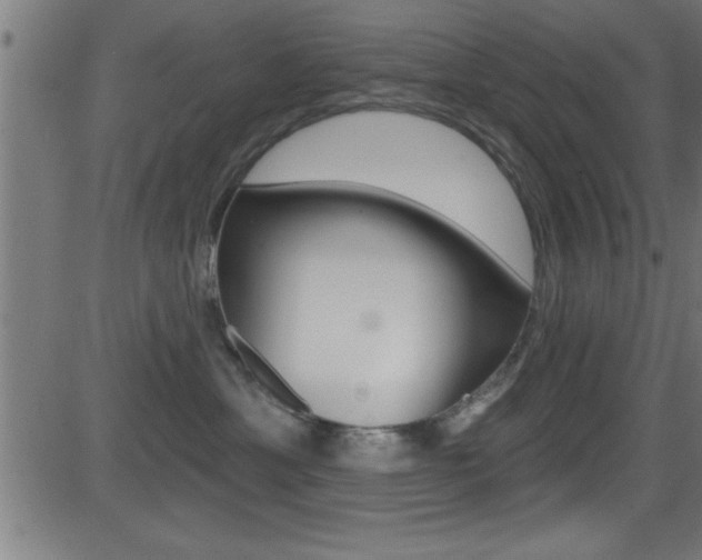 X0000081440429200701120949