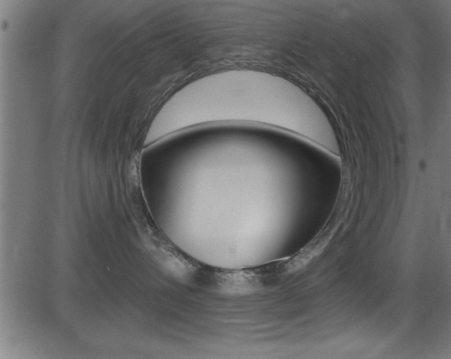 X0000081440432200701120949