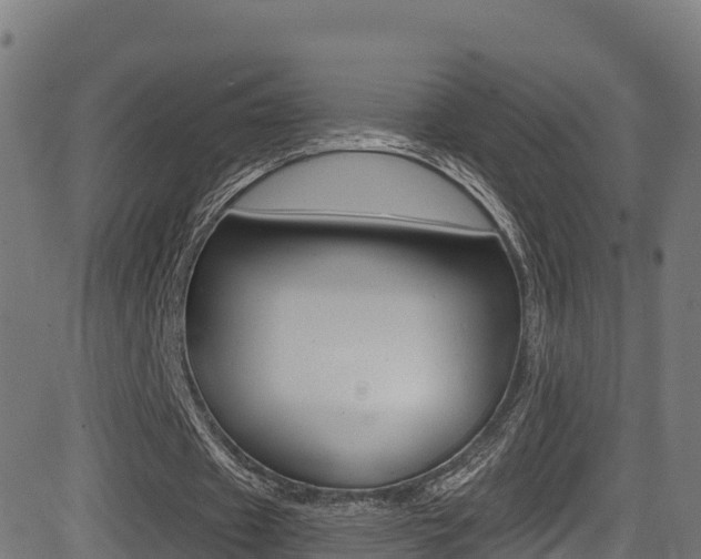 X0000081440433200701120948