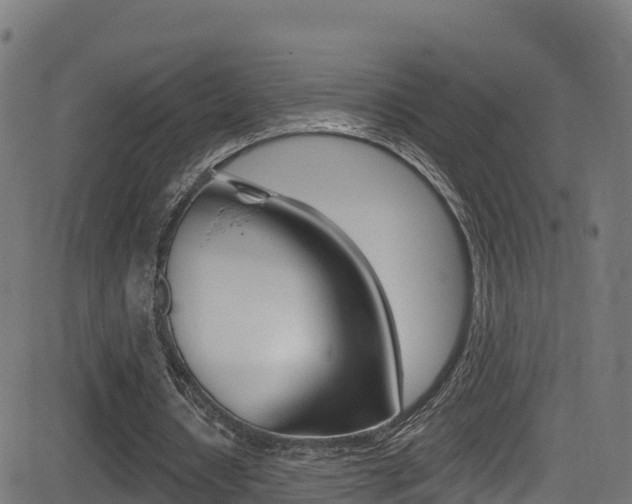 X0000081440434200701120948