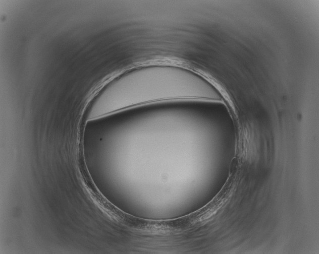 X0000081440437200701120948