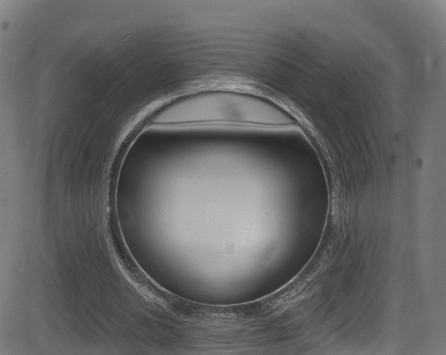 X0000081440438200701120948