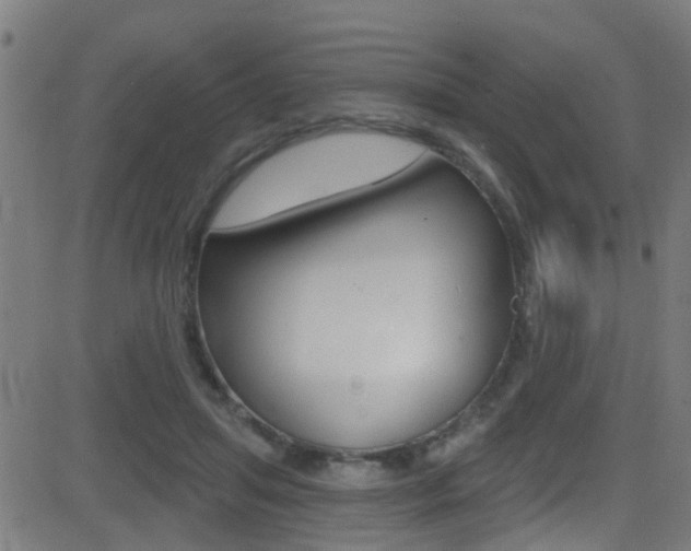 X0000081440455200701120949