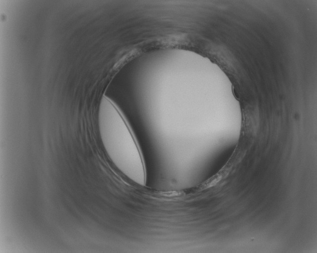 X0000081440479200701120949