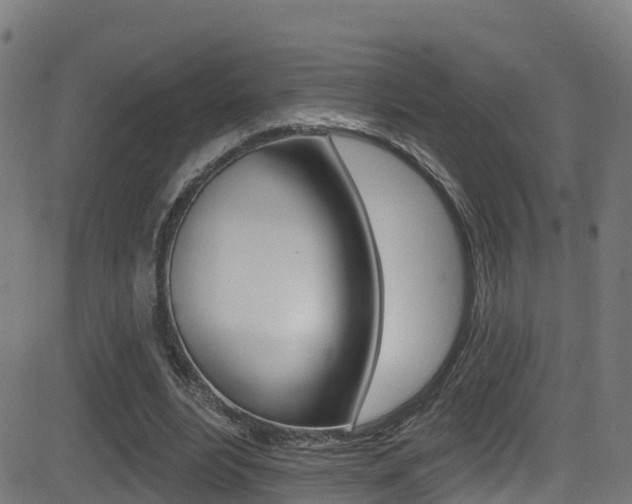 X0000081440488200701120948