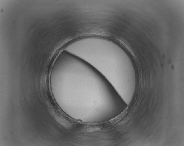 X0000081440491200701120948