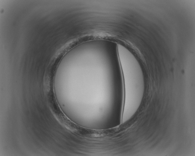 X0000081440496200701120948