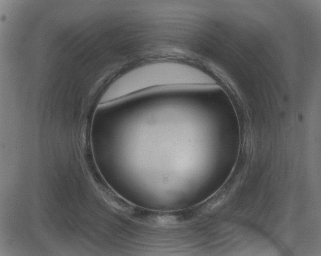 X0000081440501200701120948