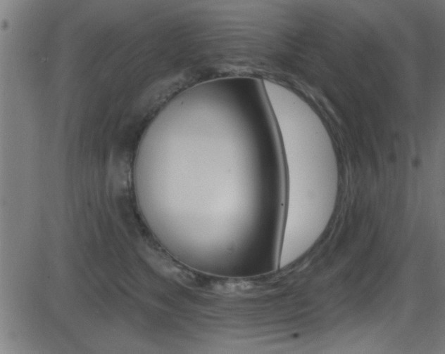 X0000081440517200701120948