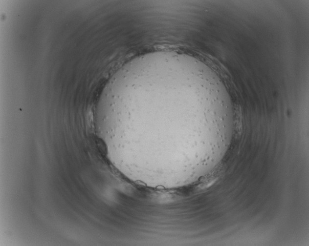 X0000081440523200701120948