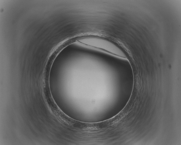 X0000081440536200701120947