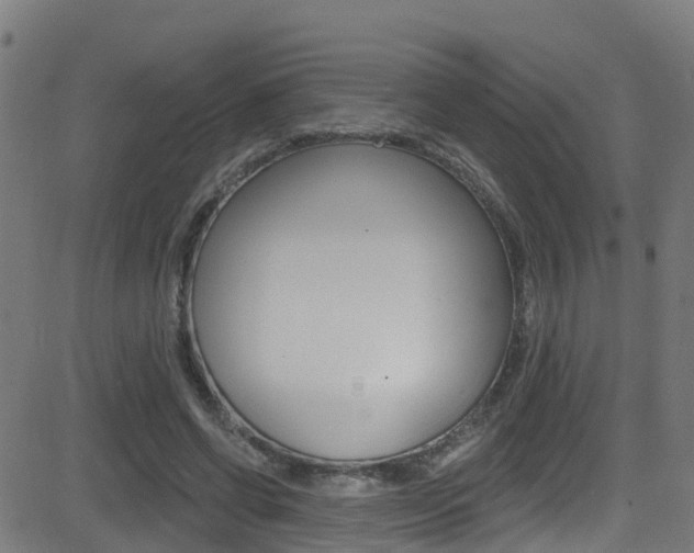 X0000081440542200701120947