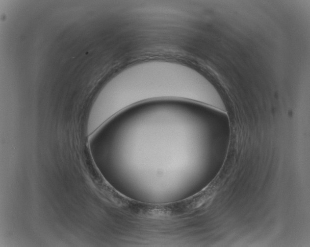 X0000081440546200701120947