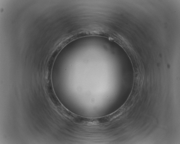 X0000081440548200701120947