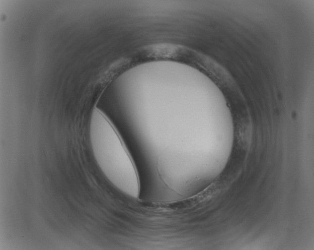 X0000081440551200701120947