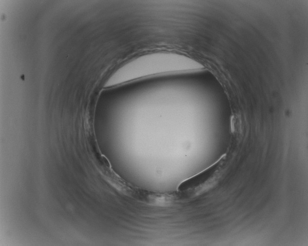 X0000081440564200701120947