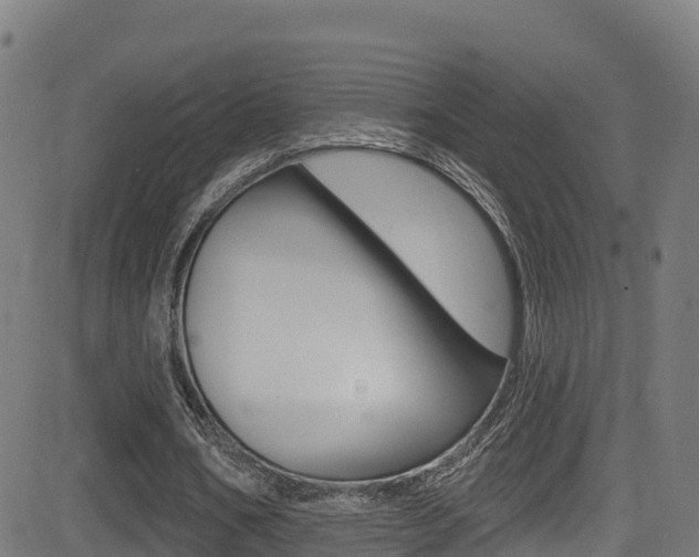 X0000081440578200701120947