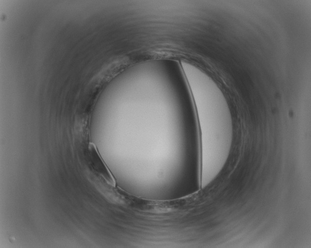 X0000081440601200701120946