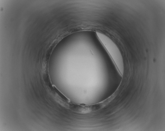 X0000081440604200701120946