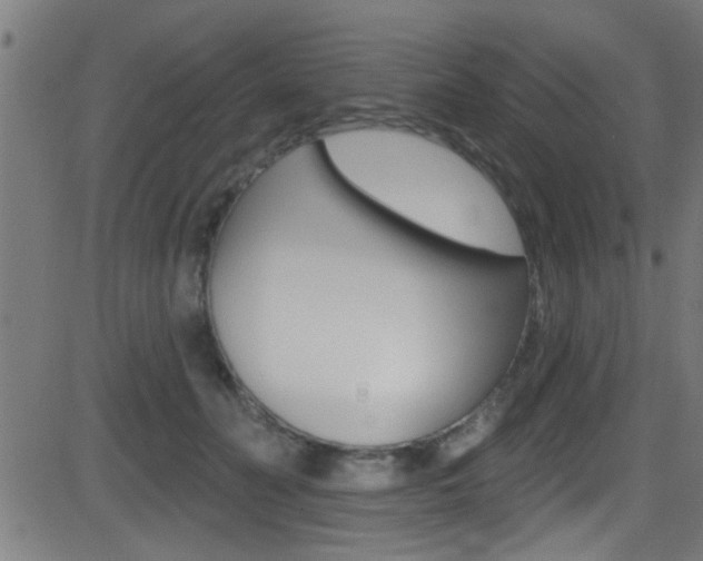 X0000081440606200701120946