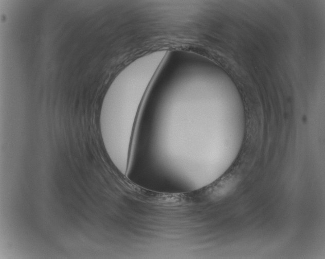 X0000081440624200701120946