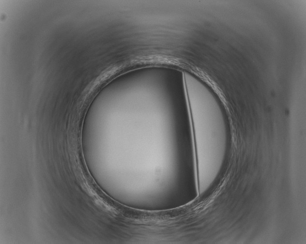 X0000081440625200701120945