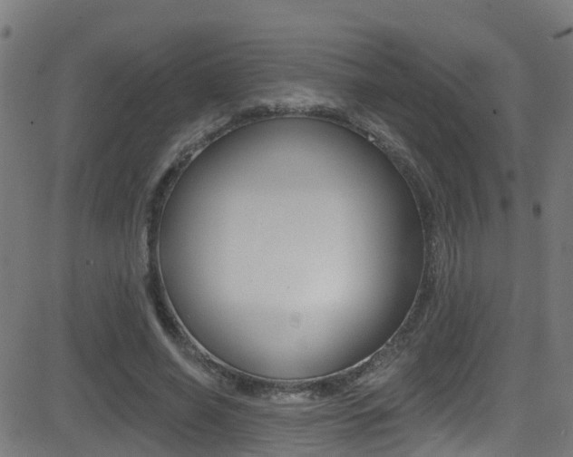 X0000081440638200701120945