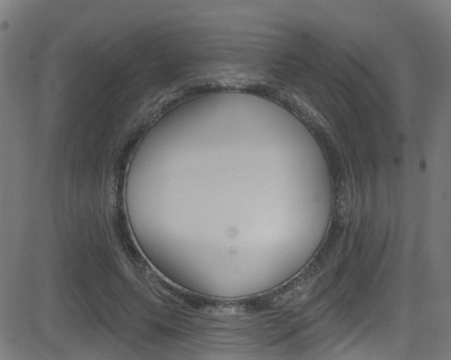 X0000081440639200701120945
