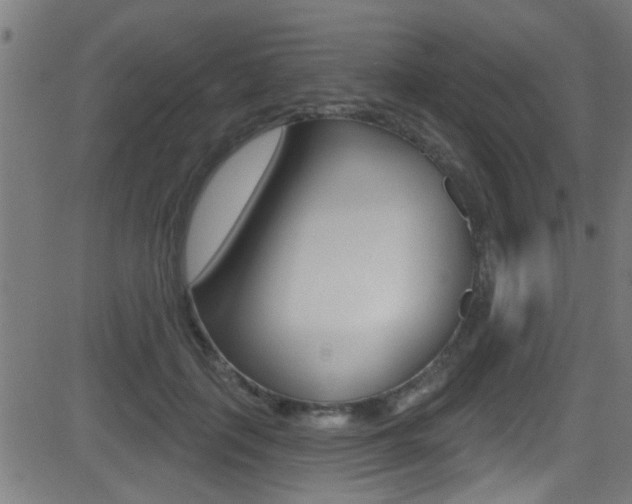 X0000081440651200701120946
