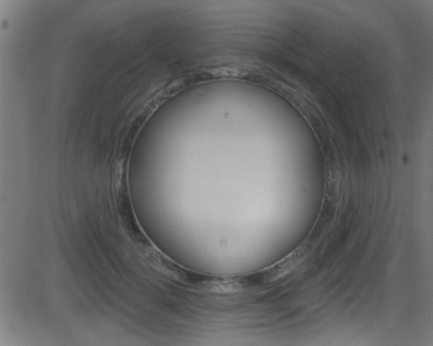 X0000081440652200701120946