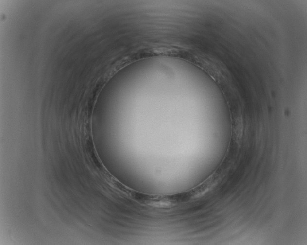 X0000081440653200701120946