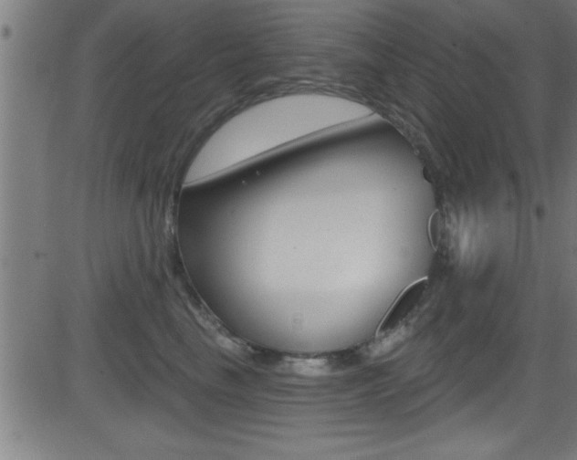 X0000081440665200701120946