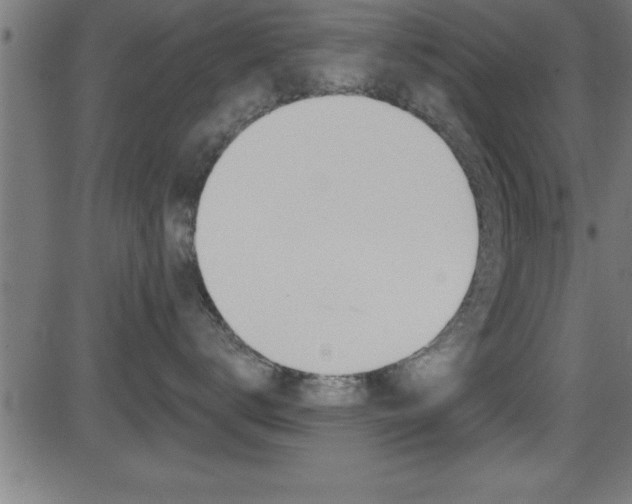 X0000081440672200701120946