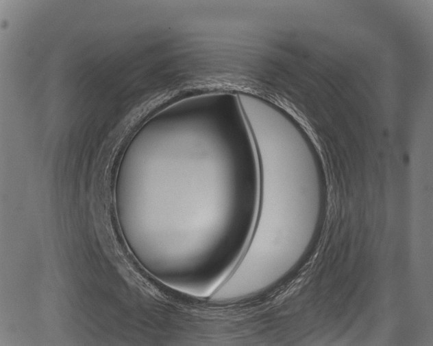 X0000081440673200701120945
