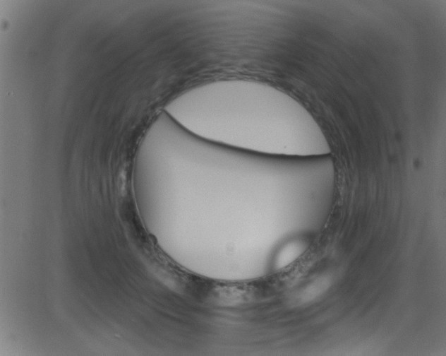 X0000081440703200701120945