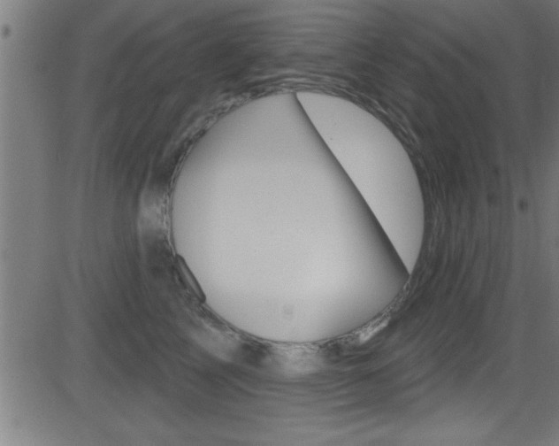 X0000081440713200701120945