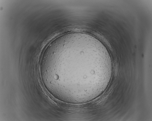X0000081440721200701120944