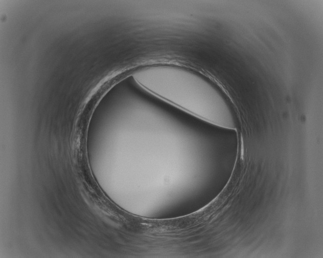 X0000081440723200701120944