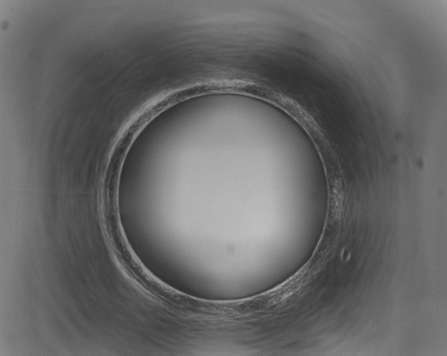 X0000081440726200701120944