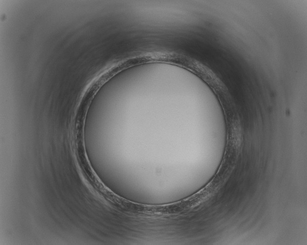 X0000081440730200701120944