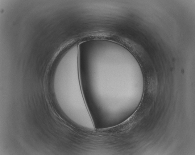 X0000081440731200701120944