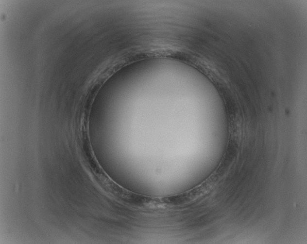 X0000081440742200701120944