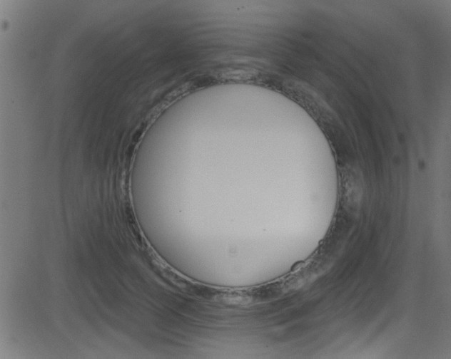 X0000081440745200701120944